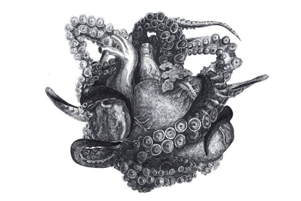 Kraken что это за сайт
