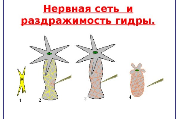 Сайт кракен россия