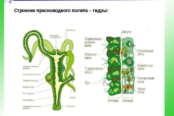 Ошибка на сервере кракен