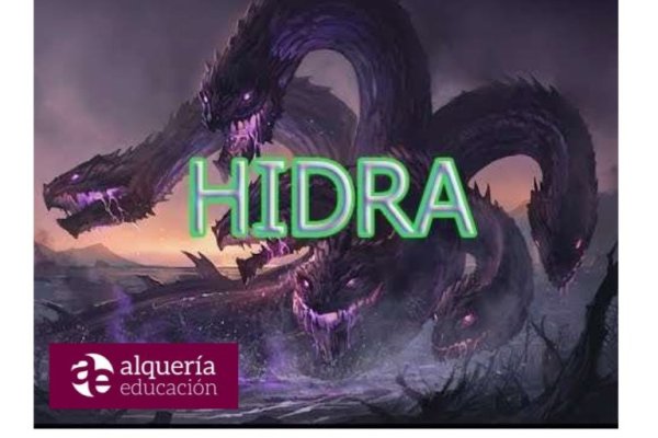 Kraken url