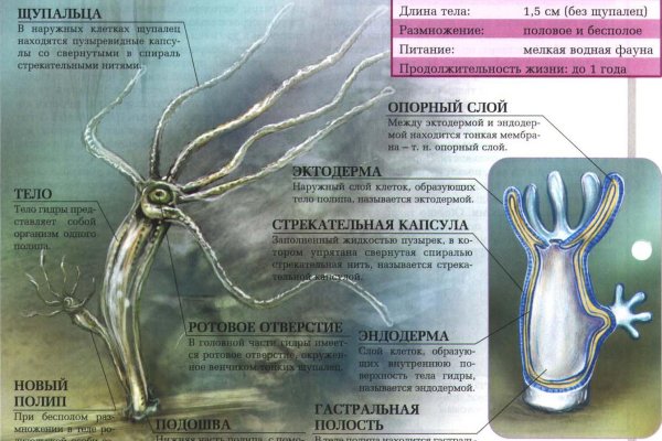 Kraken зеркало даркнет