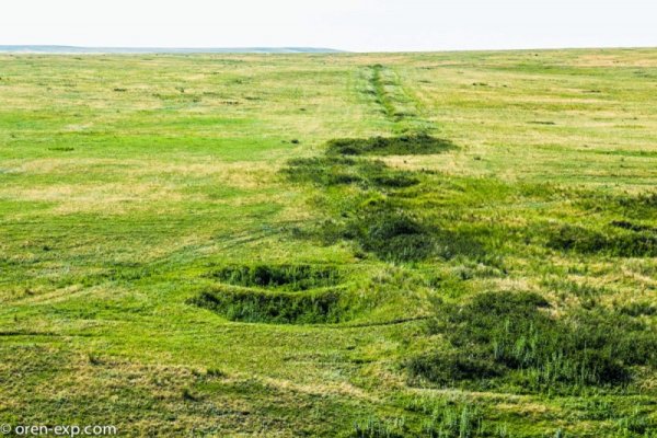 Кракена точка нет