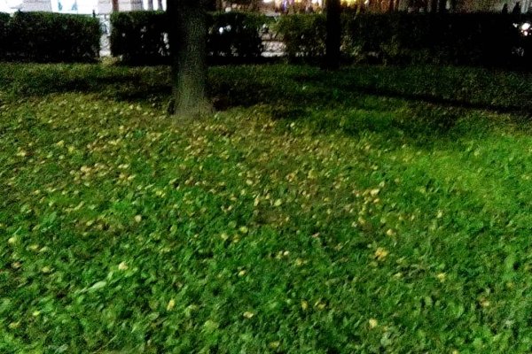 Кракен зеркало прокатис